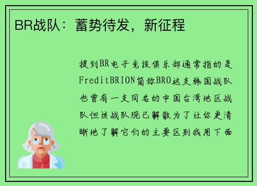 BR战队：蓄势待发，新征程